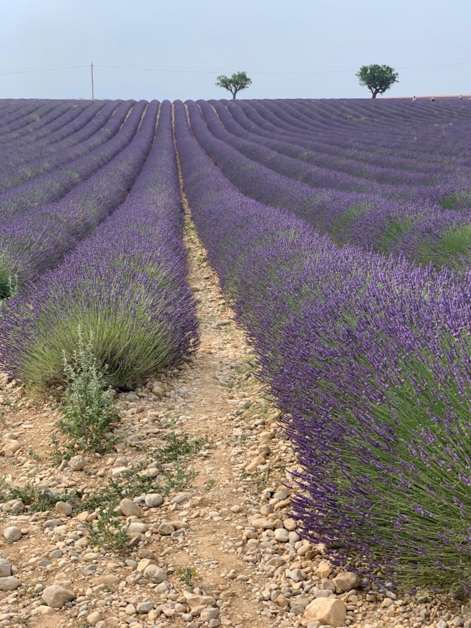آيكس أومبروفينس Studios Nuitee En Provence المظهر الخارجي الصورة