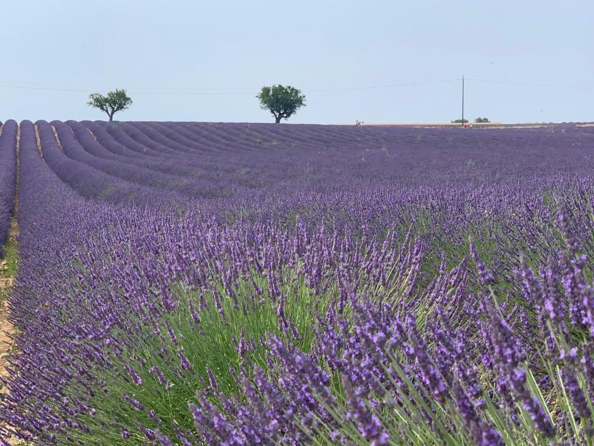 آيكس أومبروفينس Studios Nuitee En Provence المظهر الخارجي الصورة